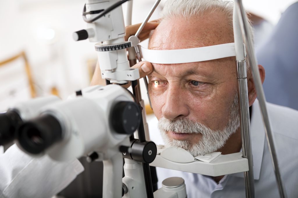 Investigating Glaucoma Treatments to Save Sight
